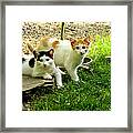 Double Trouble Framed Print