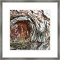 Dragon Eye Framed Print