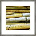 Dried Canes Framed Print