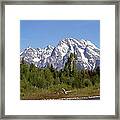 Driftwood And The Grand Tetons Framed Print