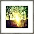 #driving #sunset #trees Framed Print