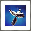 Dumbo # Thailand # Elephant # Fly # Framed Print