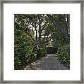 Early Morning Sun Framed Print