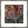 Early Winter Icicles Framed Print