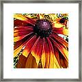 Earth Tone Framed Print