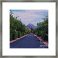 East Circle Road Framed Print