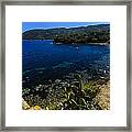 Elba Island - The Path To The Beach - Ph Enrico Pelos Framed Print