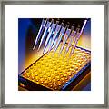 Elisa Blood Test Framed Print