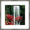 Elixir Of Life Framed Print