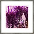 Emerging From Pain Framed Print