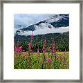 Emerging Mist Framed Print