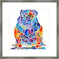 English Bulldog Whimsical Colors Framed Print