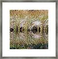 Escape Hatches Framed Print