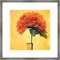 Estillo - 01i2t03 Framed Print Estillo - 01i2t03 Framed Print
