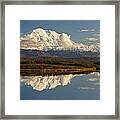 Evening Light On Denali Framed Print