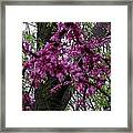 Everything Spring Framed Print