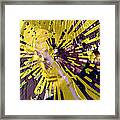 Explosive Thoughts Framed Print