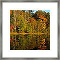 Fall Color 2 Framed Print