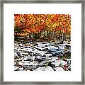 Fall Color Trees And Rocks - West Virginia Framed Print