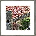 Fall Colors On The Fence Framed Print