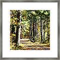 Fall Day To Remember Framed Print