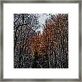 Fall On The Saucon Trail Framed Print