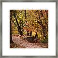 Fall Path Framed Print