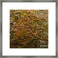 Fall To Pieces Framed Print