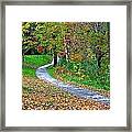 Fall Walkway Framed Print