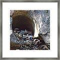 Family Outing In The Cave Framed Print