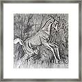 Fancifilly Framed Print