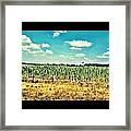 Farm Country Framed Print