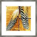 #feather Party , Part Deux ! Framed Print