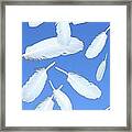 Feathers In The Air Framed Print