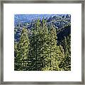 Feeling Free On Mt Tamalpais Framed Print