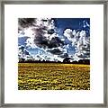 #field Full Of #dandelions #sky #clouds Framed Print