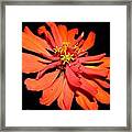 Fiery Explosion Of Colors Framed Print