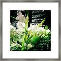 Figs And Freesia Framed Print