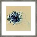 Firework Framed Print