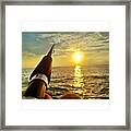 #fishing #pole #fish #sunset #lifestyle Framed Print