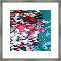 Floating Rose Petals Framed Print