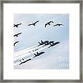 Flock Of Canada Geese At Air Show Framed Print