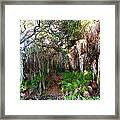 Florida Woods Framed Print