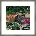 Flower Garden Serenity Framed Print