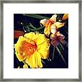 #flowers #flower #beautiful #instagood Framed Print