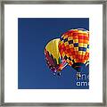 Flying High Framed Print