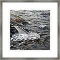 Flying Over Flowing Water Framed Print