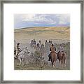 Following The Herd Framed Print