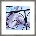 Foot Of The Bed Framed Print