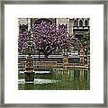 Fountain And Tree Framed Print